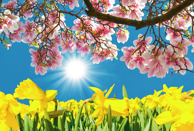 Der Frühling zeigt sich das Jahr von seiner schönsten Seite